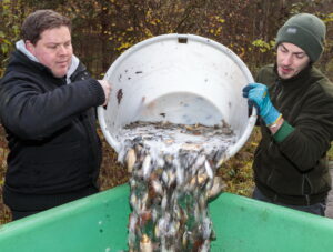 Teichsanierung Lilienteich, für den Kammmolch