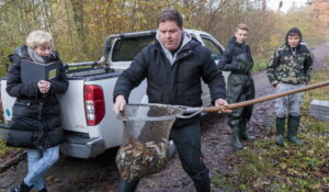 Teichsanierung Lilienteich, für den Kammmolch