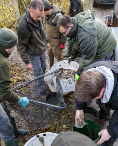 Teichsanierung Lilienteich, für den Kammmolch
