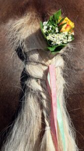 Bietigheimer Pferdemarkt 2010