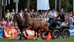 Bietigheimer Pferdemarkt 2010