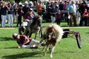 Bietigheimer Pferdemarkt 2010