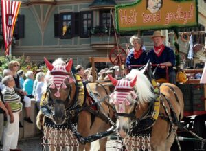 Bietigheimer Pferdemarkt 2010