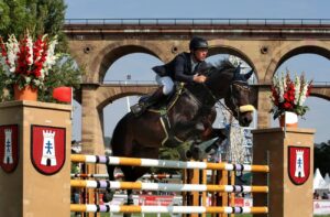 Bietigheimer Pferdemarkt 2010