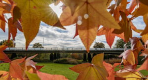 Auwiesenbrücke über die Enz in Bietigheim-Bissingen.