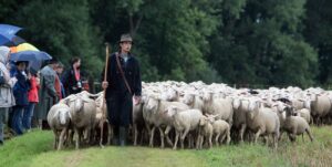 Schäferlauf in Markgröningen 2010