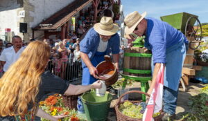 Besigheim: Winzerfest, Festumzug durch die mittelalterliche Stadt