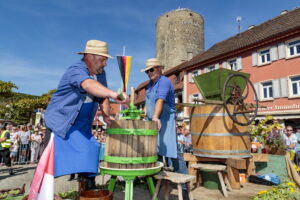 Besigheim: Winzerfest, Festumzug durch die mittelalterliche Stadt