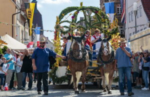 Besigheim: Winzerfest, Festumzug durch die mittelalterliche Stadt