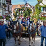 Besigheim: Winzerfest, Festumzug durch die mittelalterliche Stadt