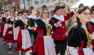 Besigheim: Winzerfest, Festumzug durch die mittelalterliche Stadt