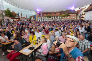 Besigheim: Winzerfest, Eröffnung